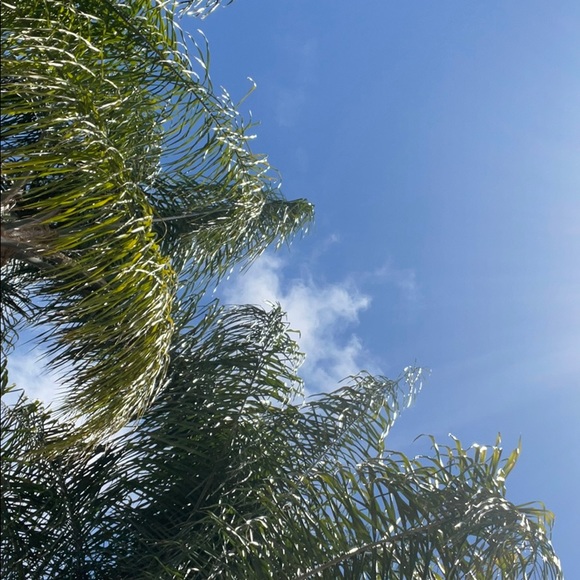 Meet your Posher, Lydia - Picture 1 of 1